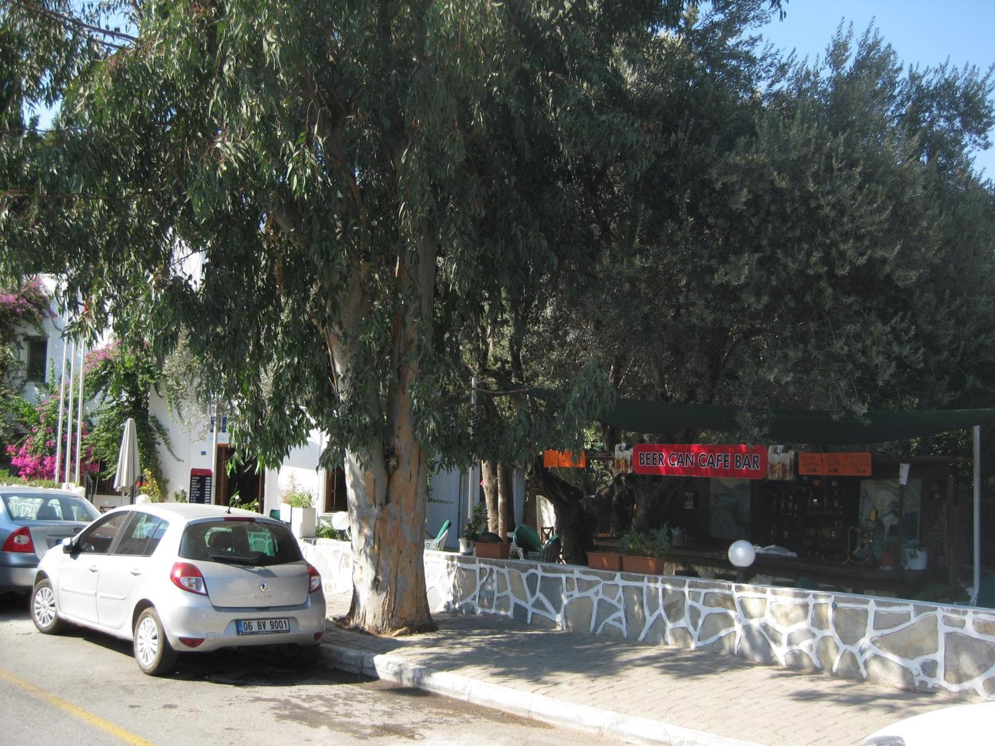 Bircan Hotel Bodrum Eksteriør billede